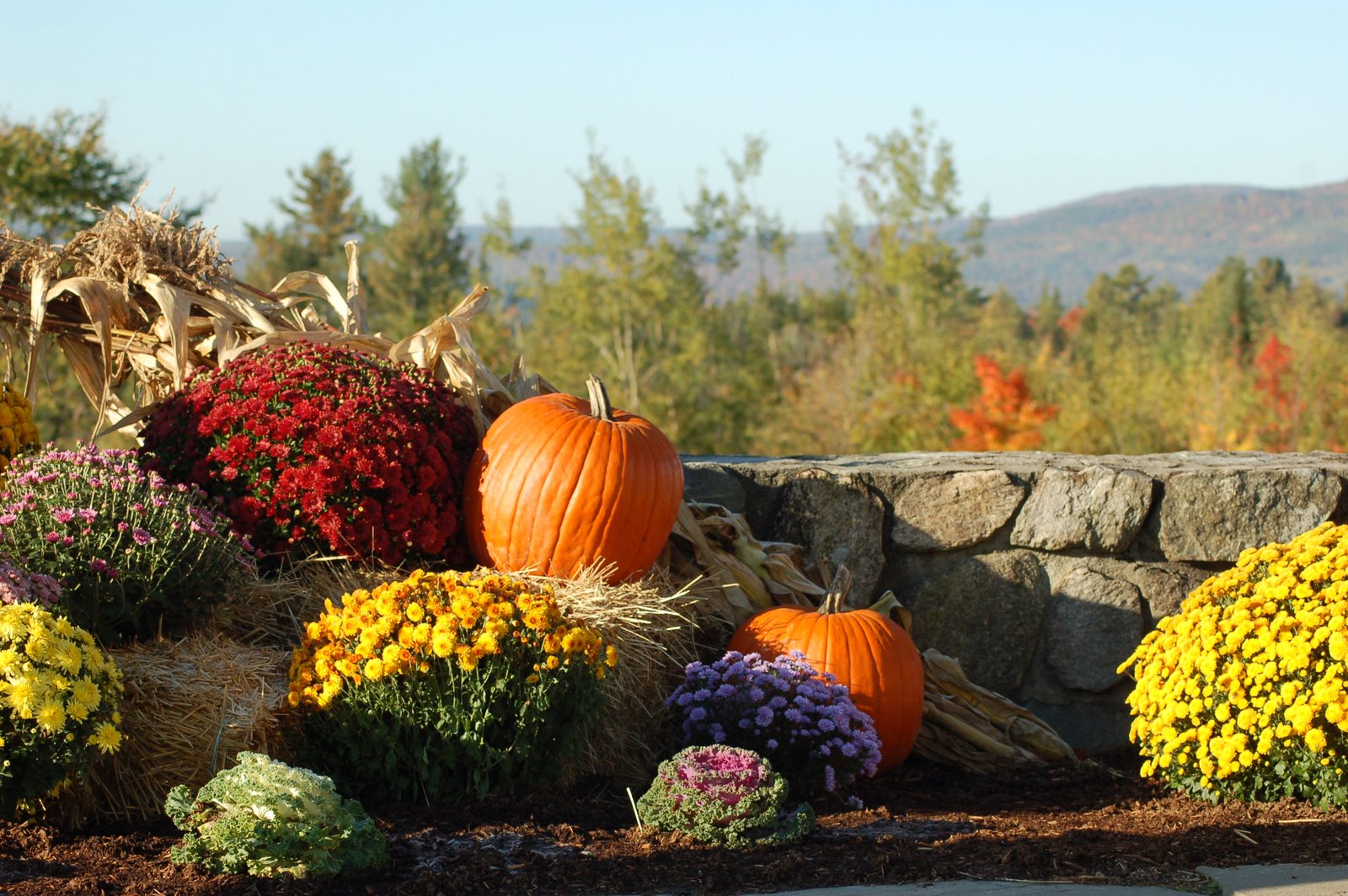 [gh+fall+scene.JPG]