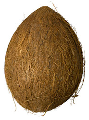 Coconut