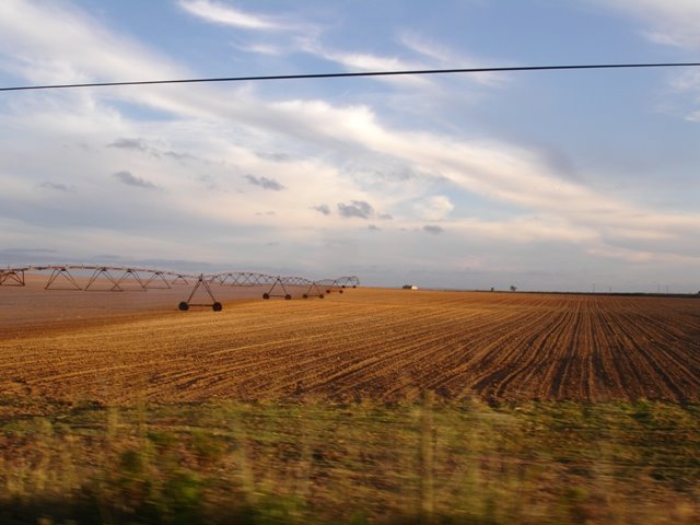 [DSC06782.JPG]