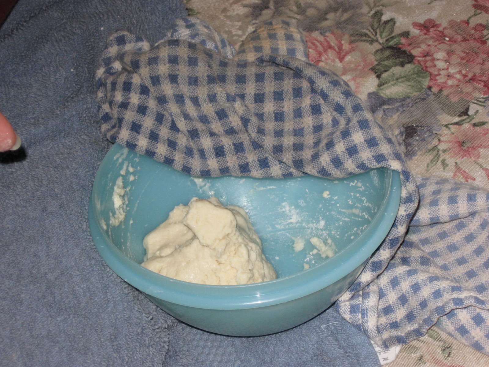 [IMG_0619.JPG]