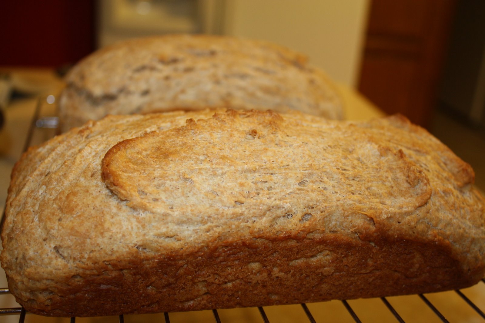 [Homemade+Wheat+Bread+005.jpg]