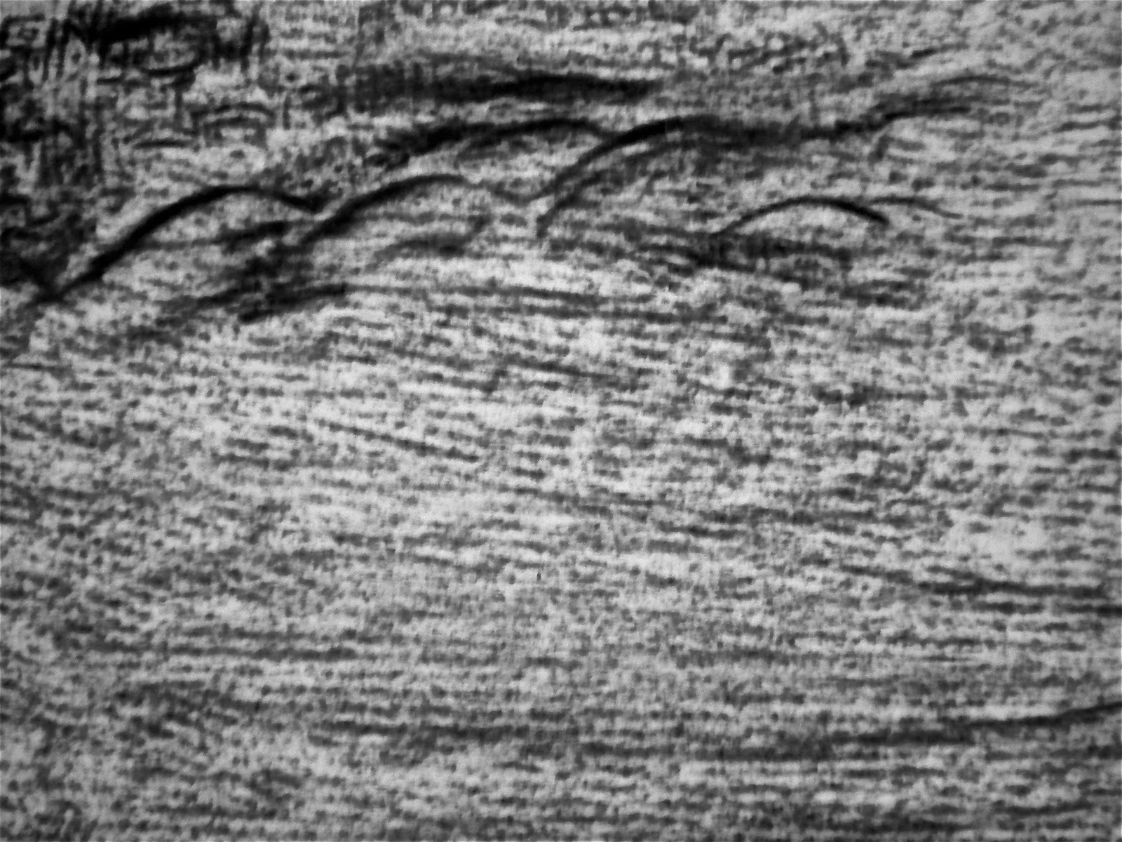 Lisa Ploof Drawing Week Eight Texture