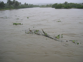 La Patria Nacio Con Juan Pablo Duarte Vivir Sin Patria Es Lo Mismo Que Vivir Sin Honor Desbordamientos De Rios Nagua Papayo Boba Baqui Arroyo Almedio Mantienen Unas 70 Comunidades Incomunicadas