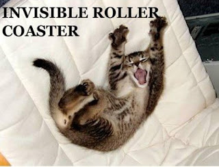 Les chats font des choses avec des trucs invisibles Invisible+roller+coaster+cat