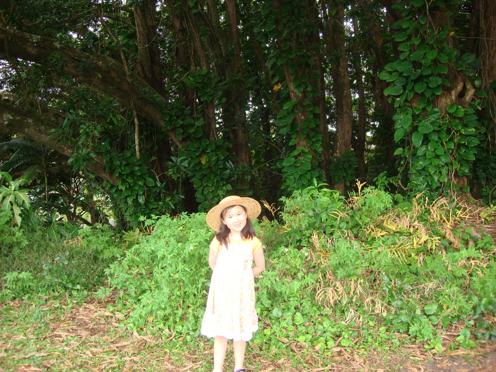 [DSC03038.JPG]
