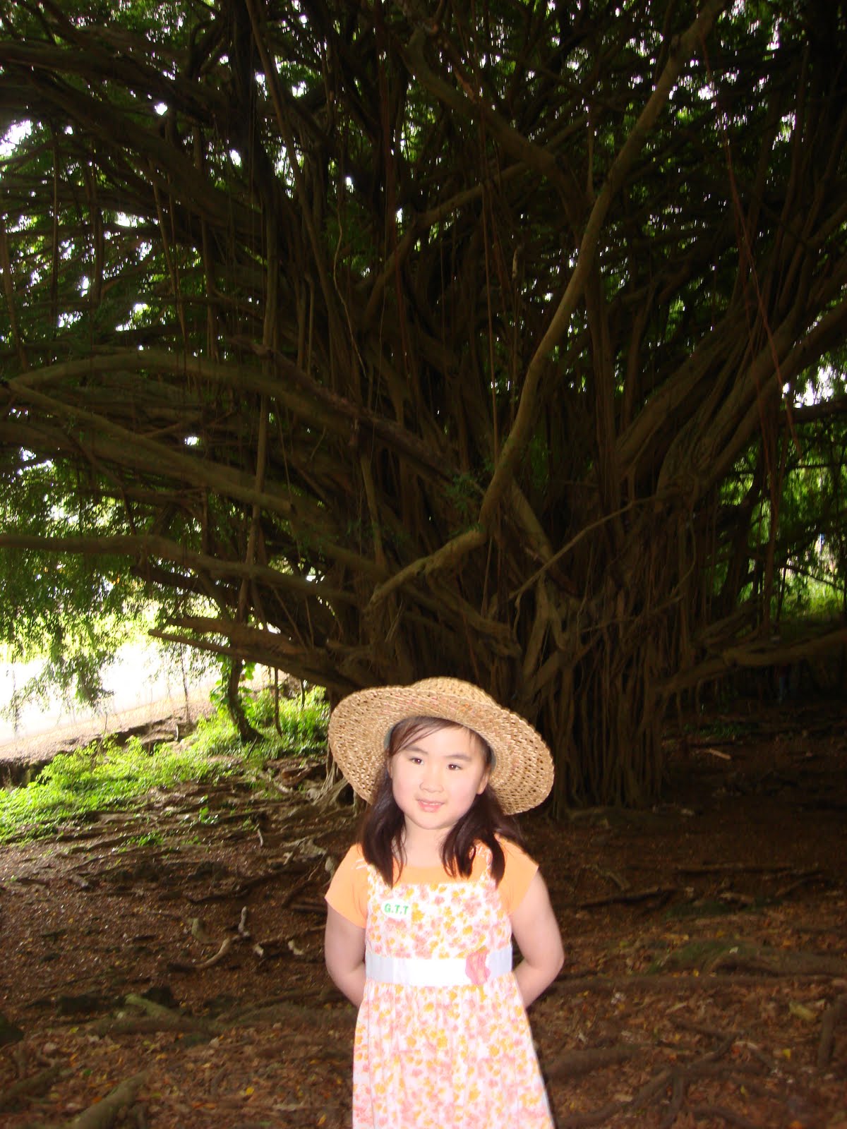 [DSC03039.JPG]