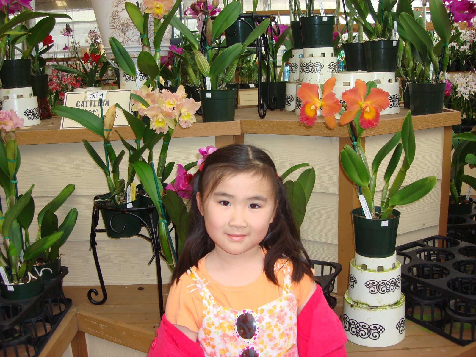 [DSC03052.JPG]