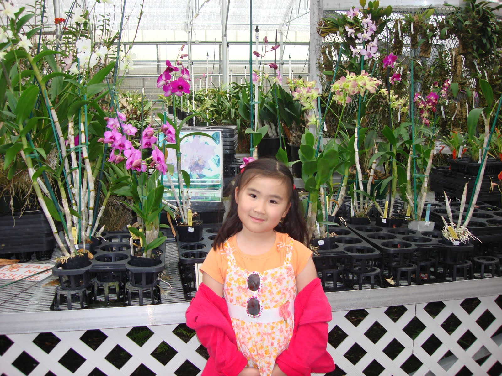 [DSC03053.JPG]