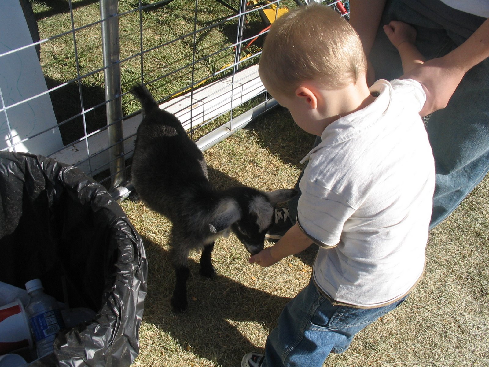 [Ryder+not+letting+his+dad+leave+his+side+while+he+feed+the+goat..JPG]