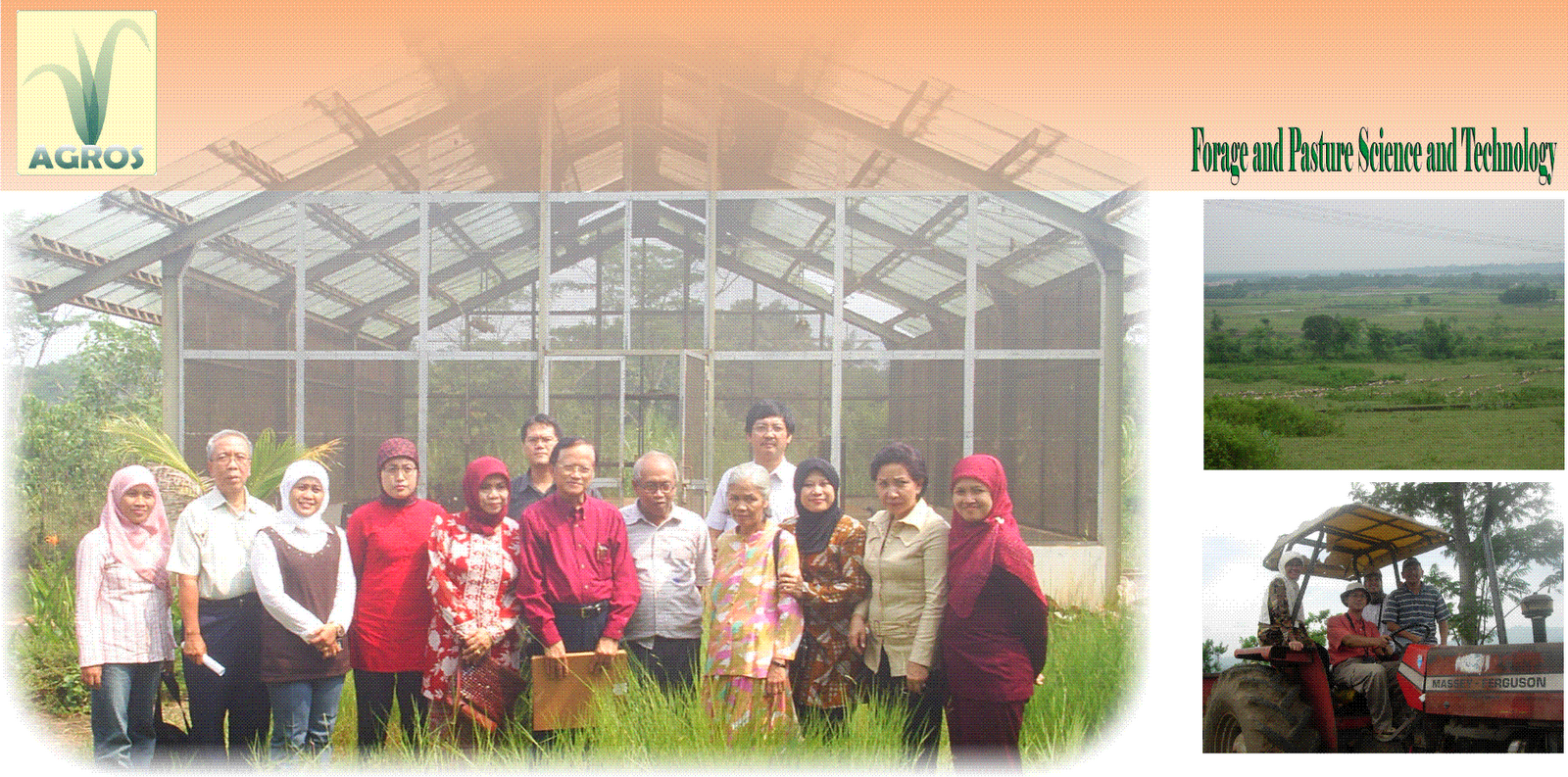 peternakan kambing