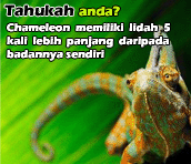 TAHUKAH ANDA?