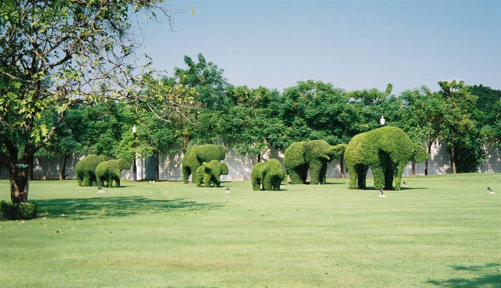 [elefantes_tailandia.JPG]