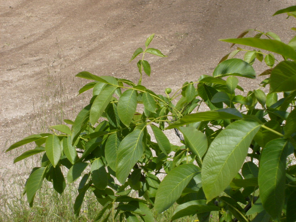 [S6300425.JPG]