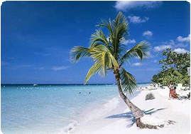 [Goa-Beach-Holidays-3.gif]