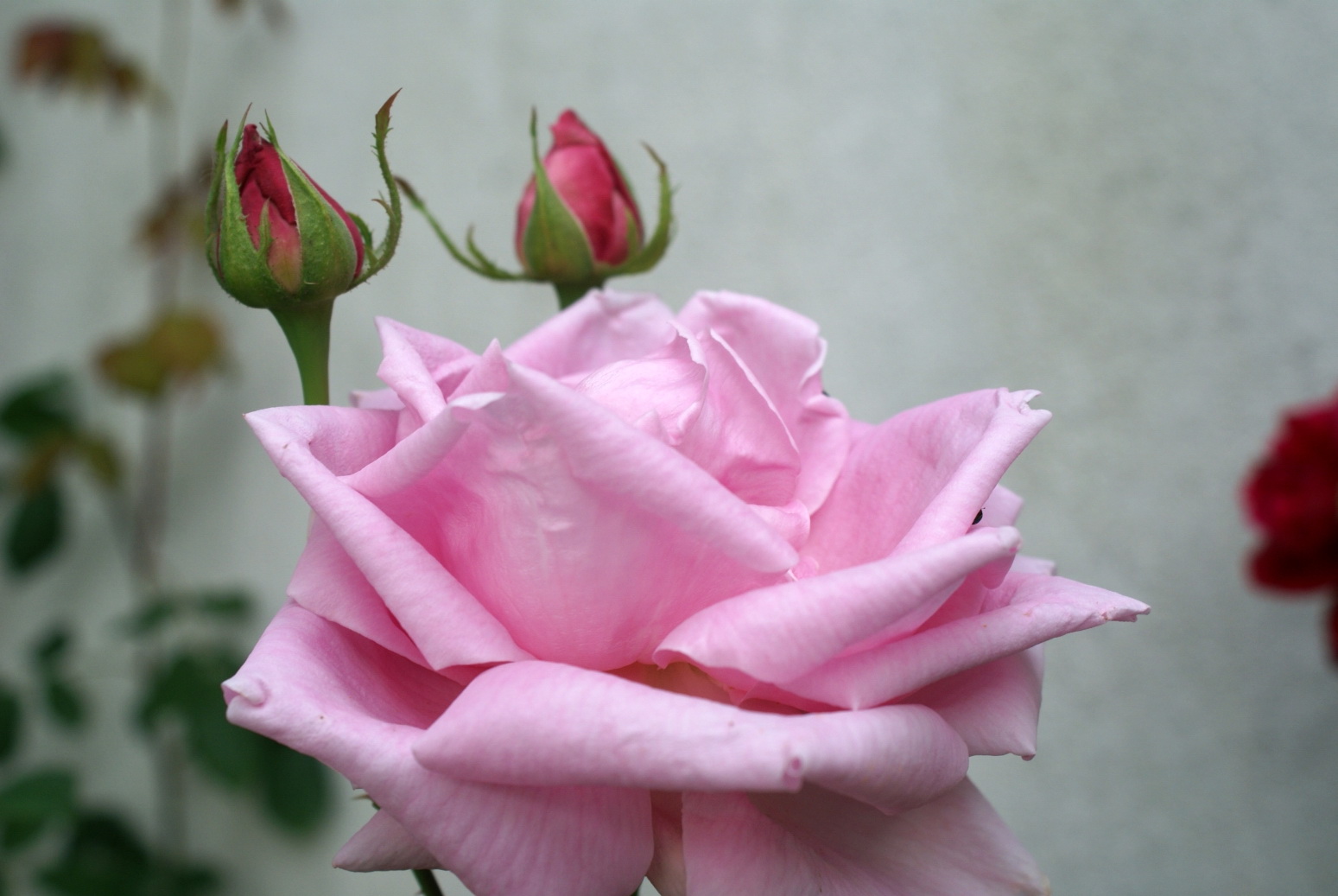 [DSC04320.jpg]