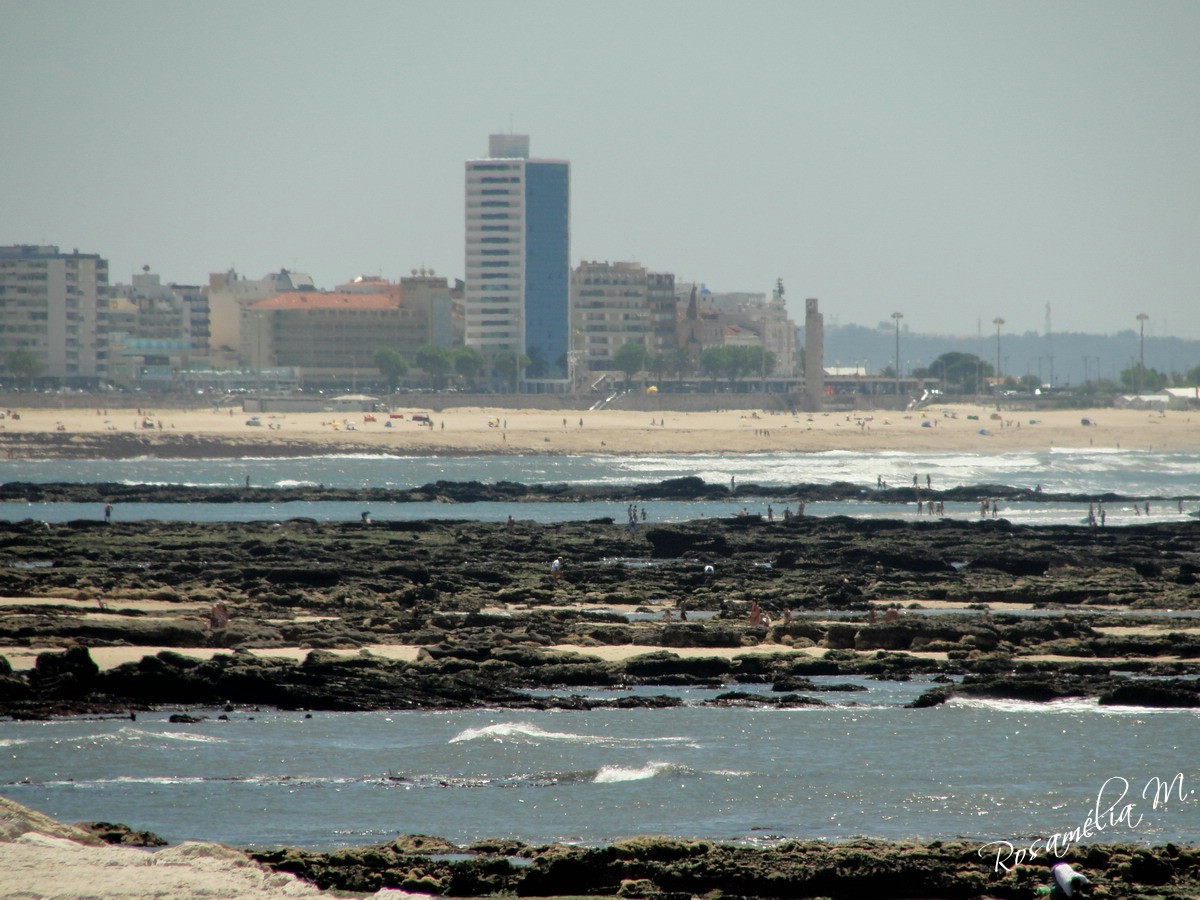 [DSC01364.jpg]