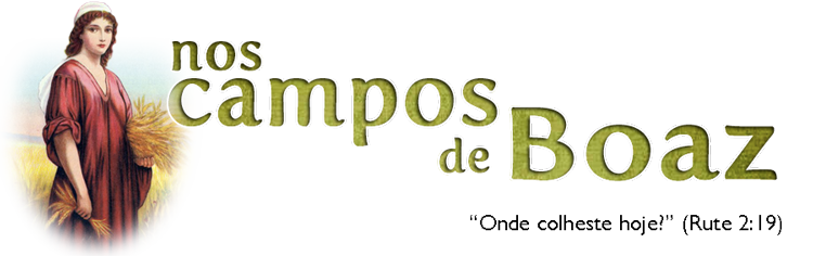 Nos campos de Boaz