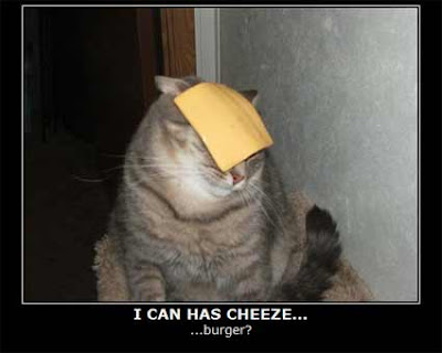 Funny Pics & GIFS - Page 6 Cheese+lolcat