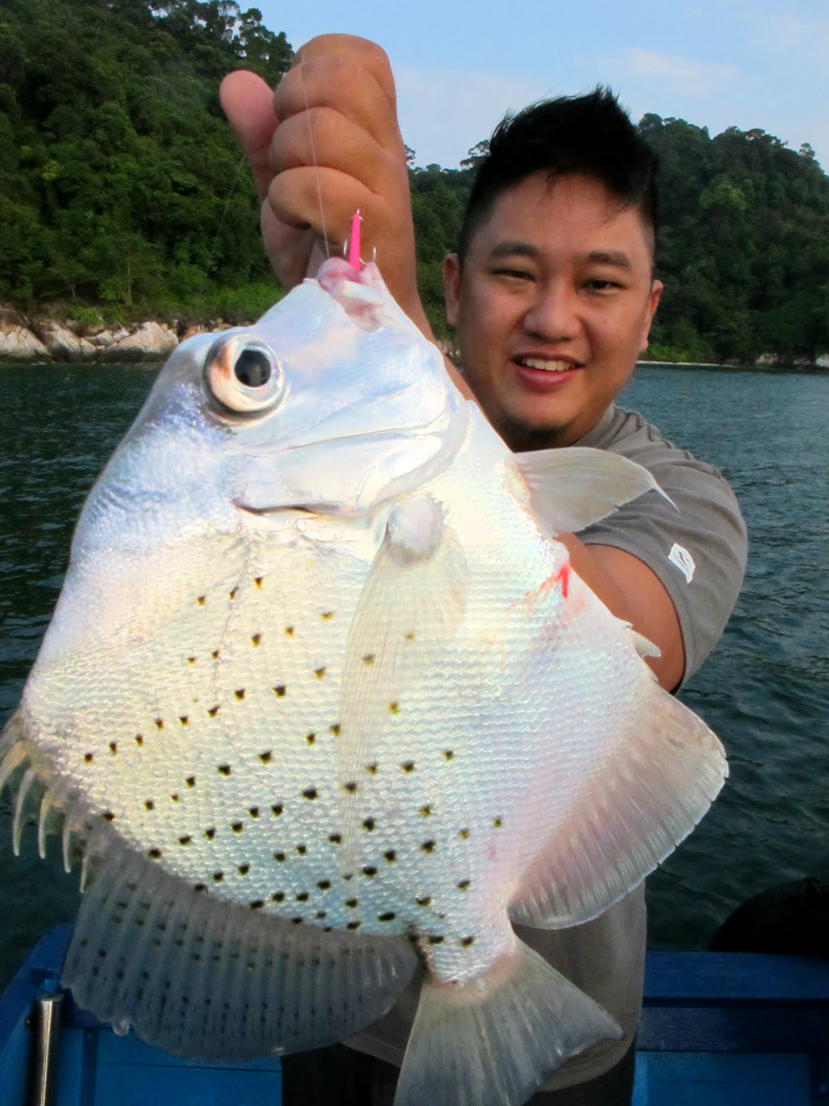 Tackle Source January 2011