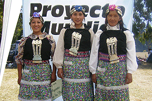 INDIGENAS EN LA COLONIA DE CHILE: Vestimentas