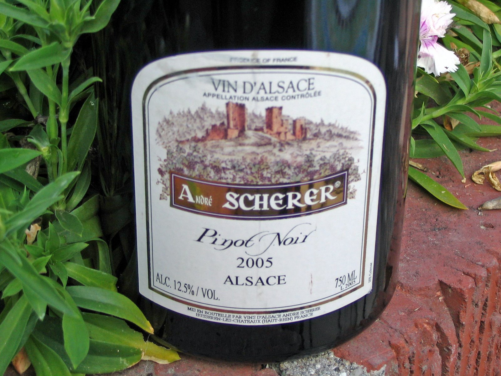 [scherer+002_edited.jpg]