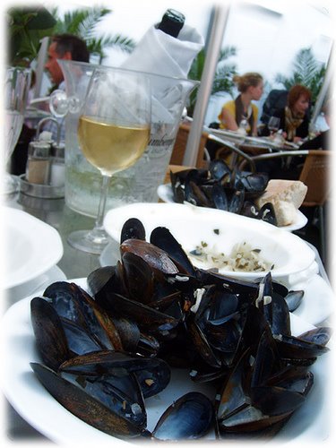 [2593721276_bd5d7492aa.jpg]