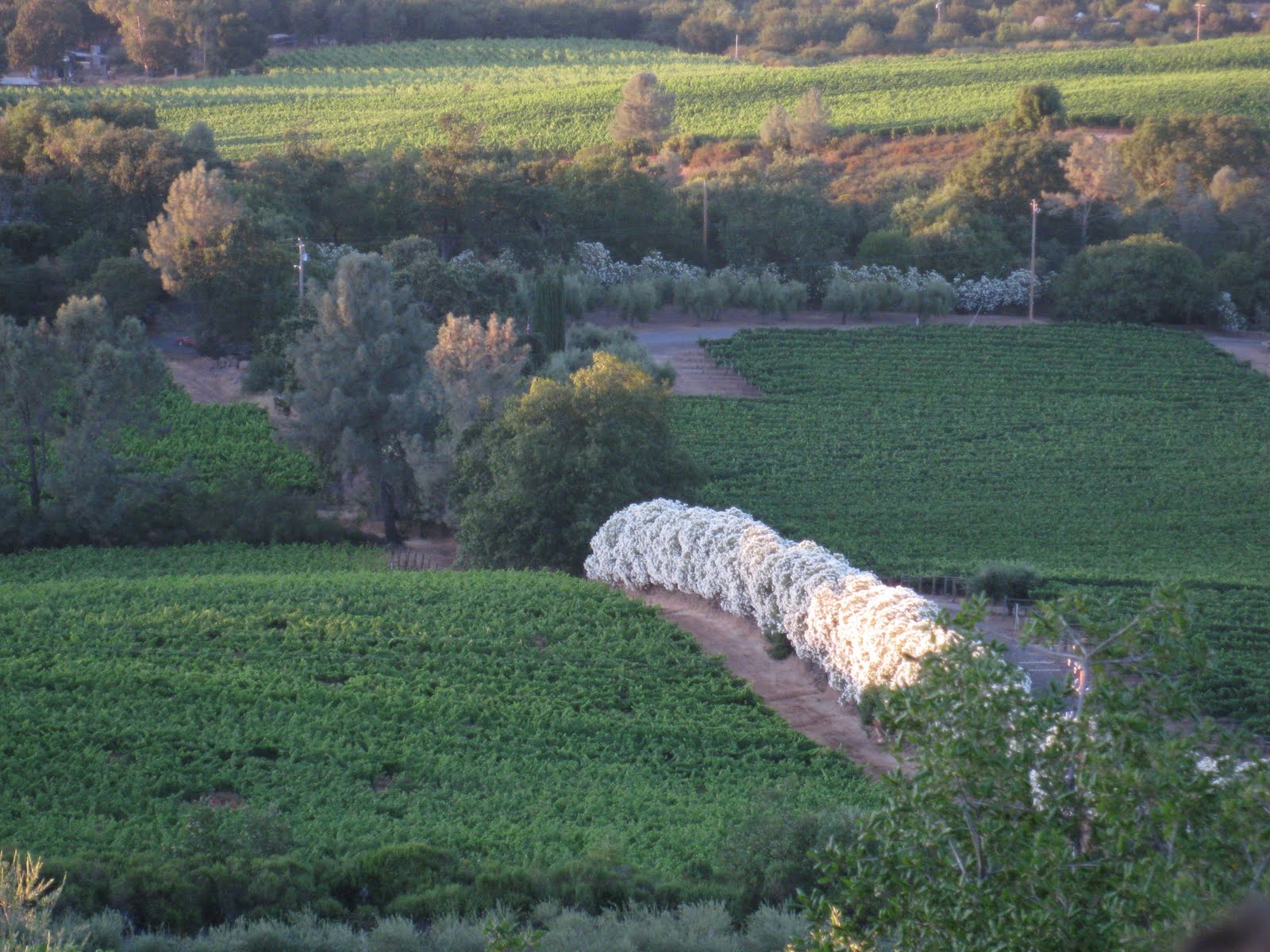 [WineFall09+047.jpg]