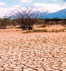 DESERTIFICACION EN QUERETARO