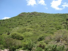 "PEÑA COLORADA"