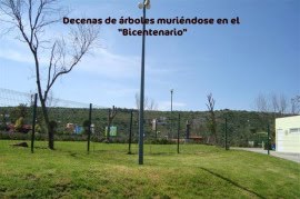 PARQUE "BICENTENARIO"