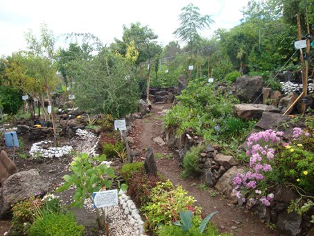 VIVERO DEL FIQMA