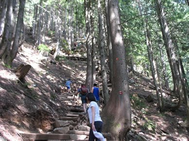 Just keep climbing...