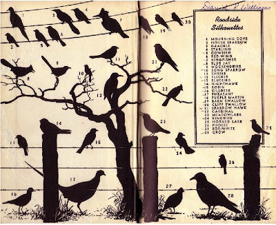 Bird Guide