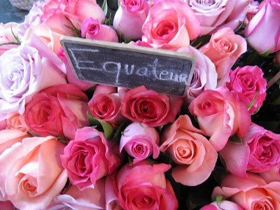 roses outkast chords