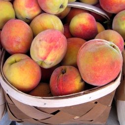 Peach and Blueberry Cake