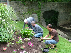 We've been working on the garden