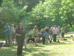 Mutt Strut 2010