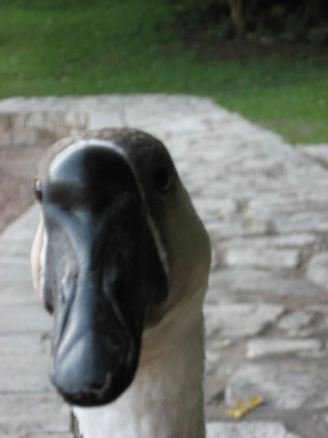 [IMG_0515.JPG]