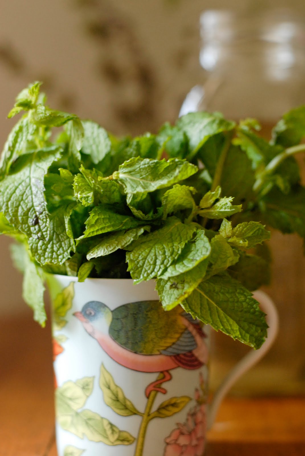 Mint Tea & The Making of Kombucha knitknitknits