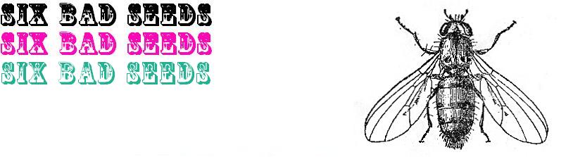 Six Bad Seeds