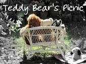 THURSDAY'S "TEDDY BEAR'S PICNIC"