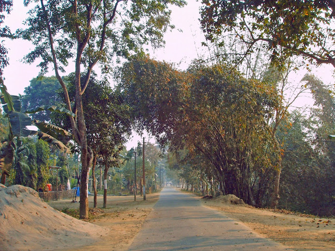 Majuli Village road