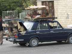 1001 uses of the limitless lada