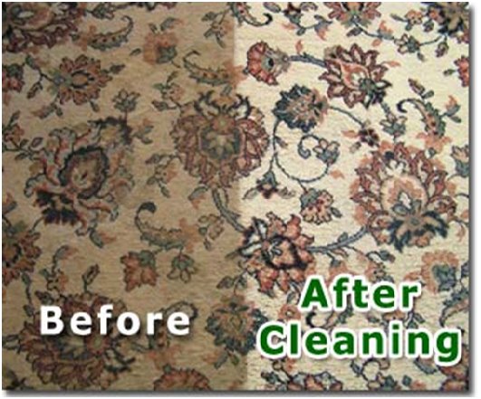 Carpet and Upholstery