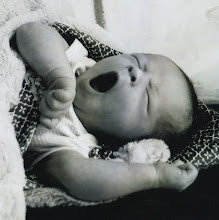 The Little Man