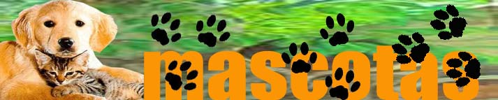 MASCOTAS
