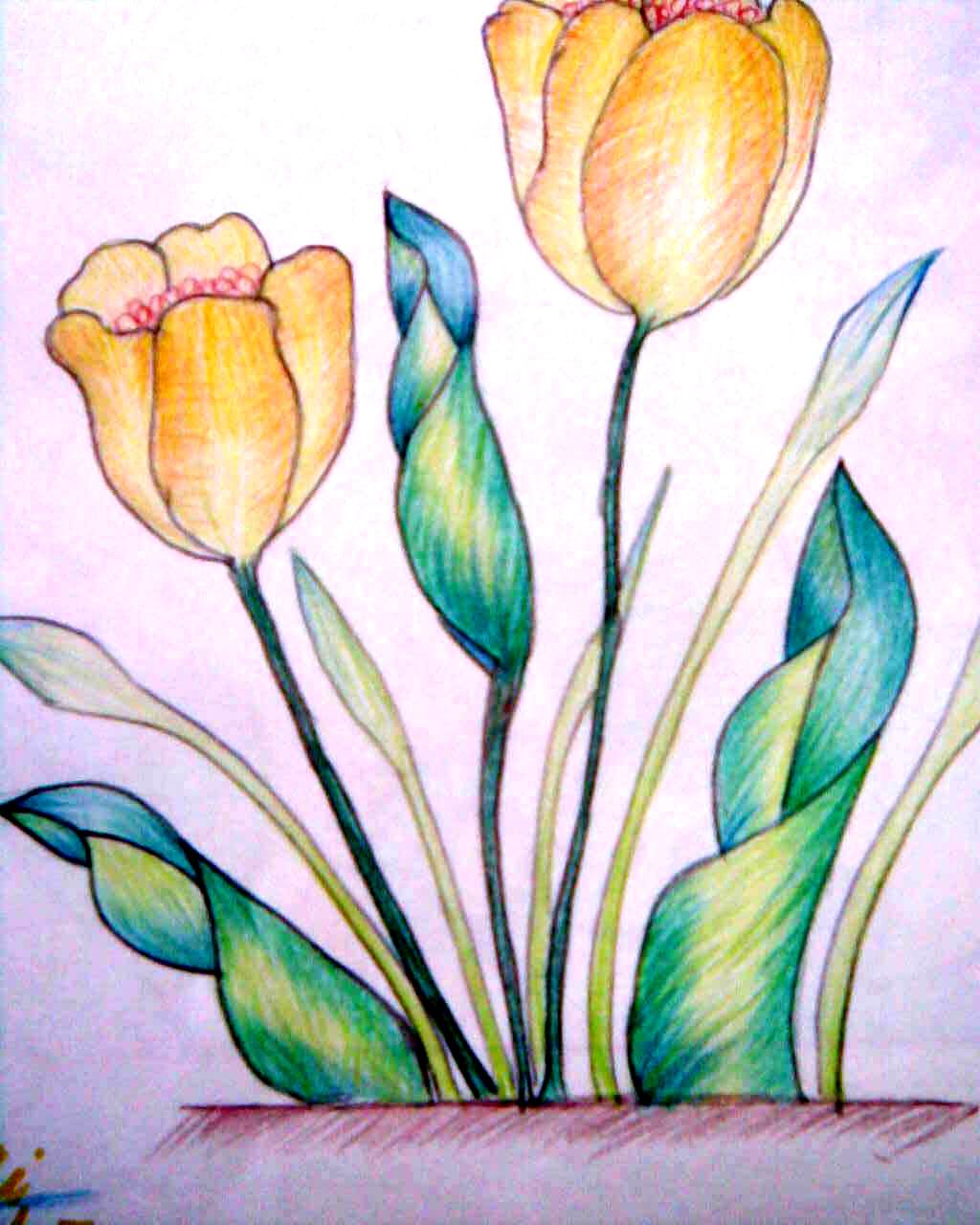 Colour Pencil Shading Images