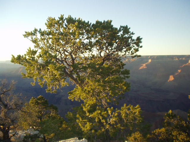 Yaki Point at sunset