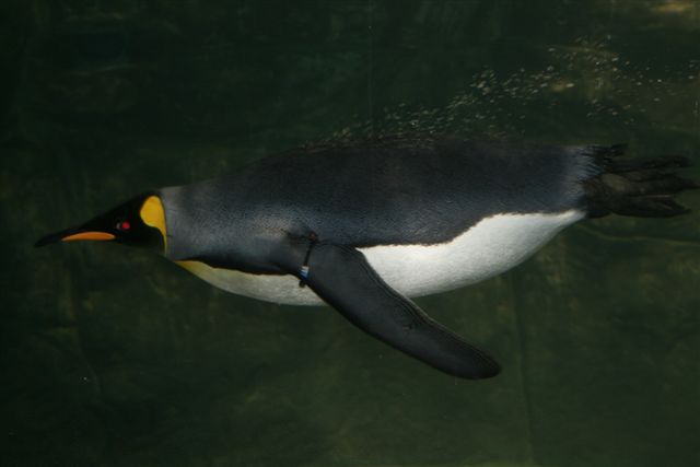 [IMG_0492.JPG]