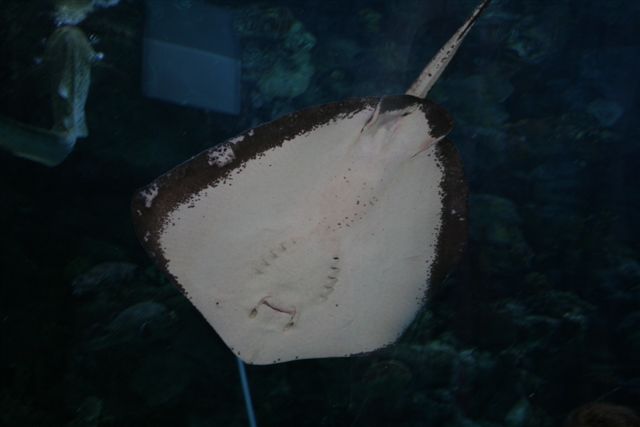 [IMG_0504.JPG]